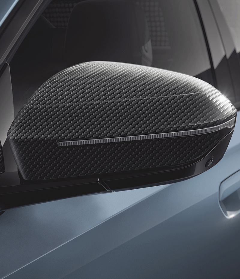 MIRROR CAPS IN CARBON FIBRE. 