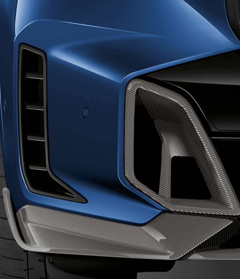 FRONT WINGLET IN CARBON FIBRE.